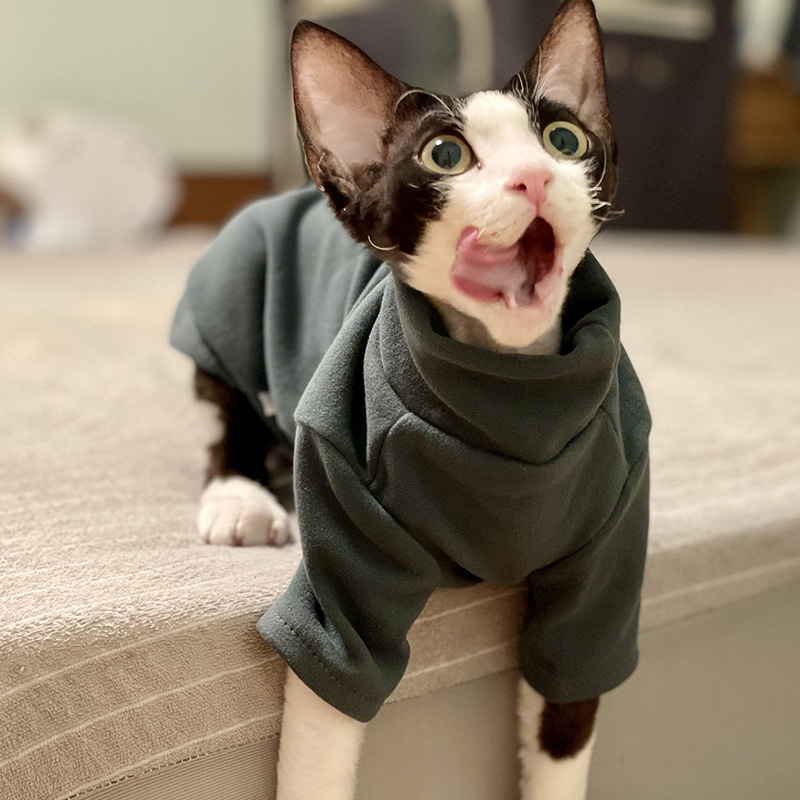 Winter Clothing For Toddlers - Sphynx roupas de gato bebê algodão