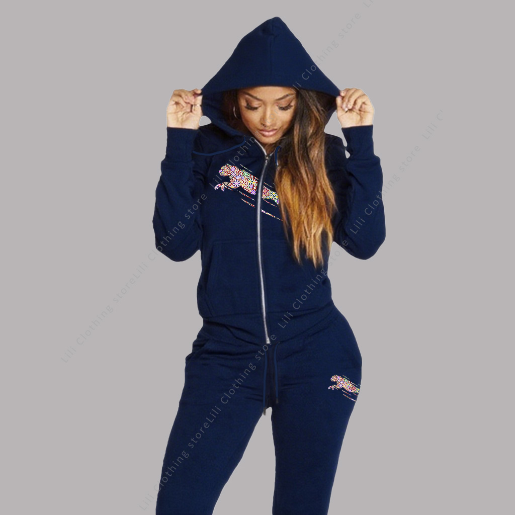 Winter Wear Clothes - Terno de trilha feminino estético hoodies