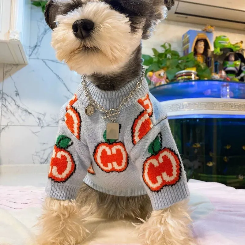 Carta camisola roupas para cãe - Winter Clothing For Toddlers avaliação e preço