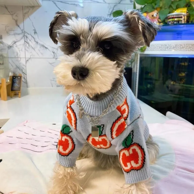 Carta camisola roupas para cãe - Winter Clothing For Toddlers avaliação e preço