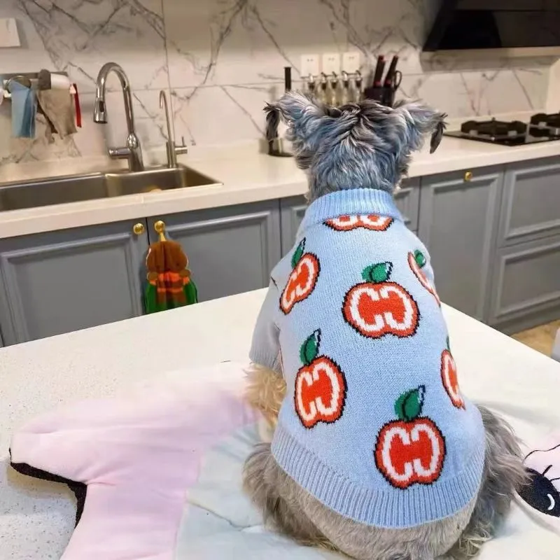 Carta camisola roupas para cãe - Winter Clothing For Toddlers avaliação e preço
