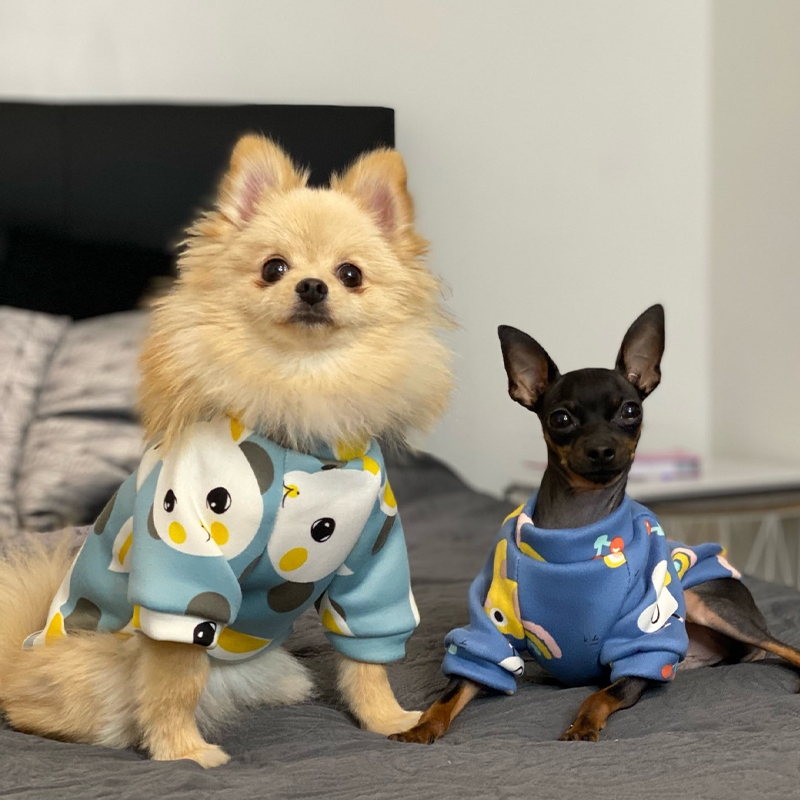 Xs roupas para cães pequenos,  - Winter Clothing For Toddlers avaliação e preço