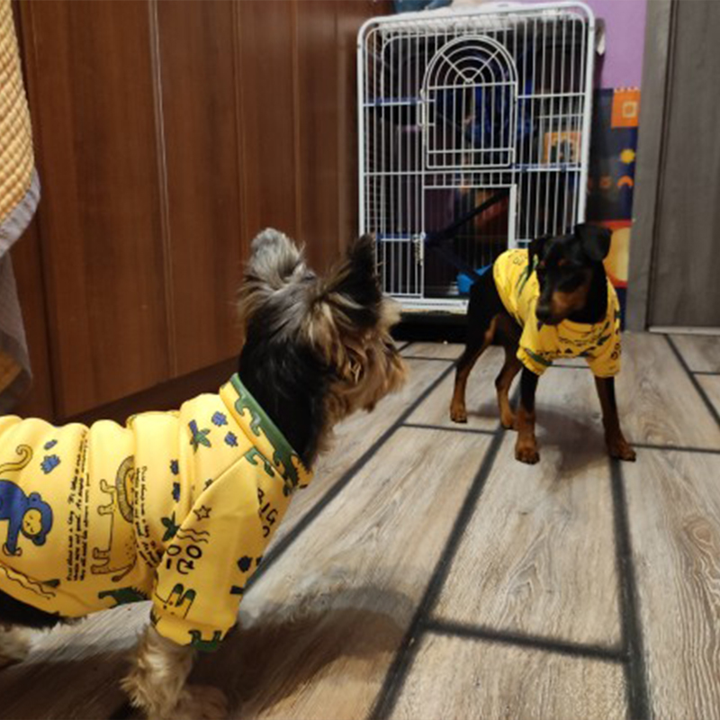 Xs roupas para cães pequenos,  - Winter Clothing For Toddlers avaliação e preço