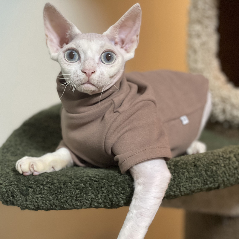 Sphynx roupas de gato bebê alg - Winter Clothing For Toddlers avaliação e preço